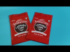 کیسه ایمنی کودکان