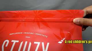 یک کیف محافظ کودکان قرمز رنگ