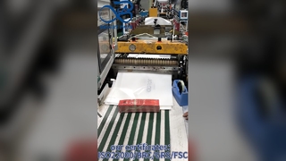 کیسه های کاغذی شیشه ای چاپ شده سفارشی کارخانه چینی سازگار با محیط زیست