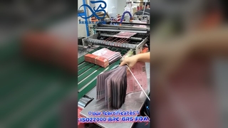 کیسه های بسته بندی غلاف لباسشویی مقاوم در برابر کودکان که به صورت سفارشی برای سازندگان مارک چاپ شده اند