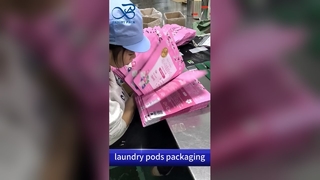 کیسه زیپ پلاستیکی غلاف لباسشویی: ضد رطوبت ضد رطوبت B2B عمده فروشی سفارشی