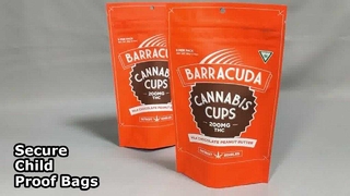 عمده فروشی کیف ضد کودک